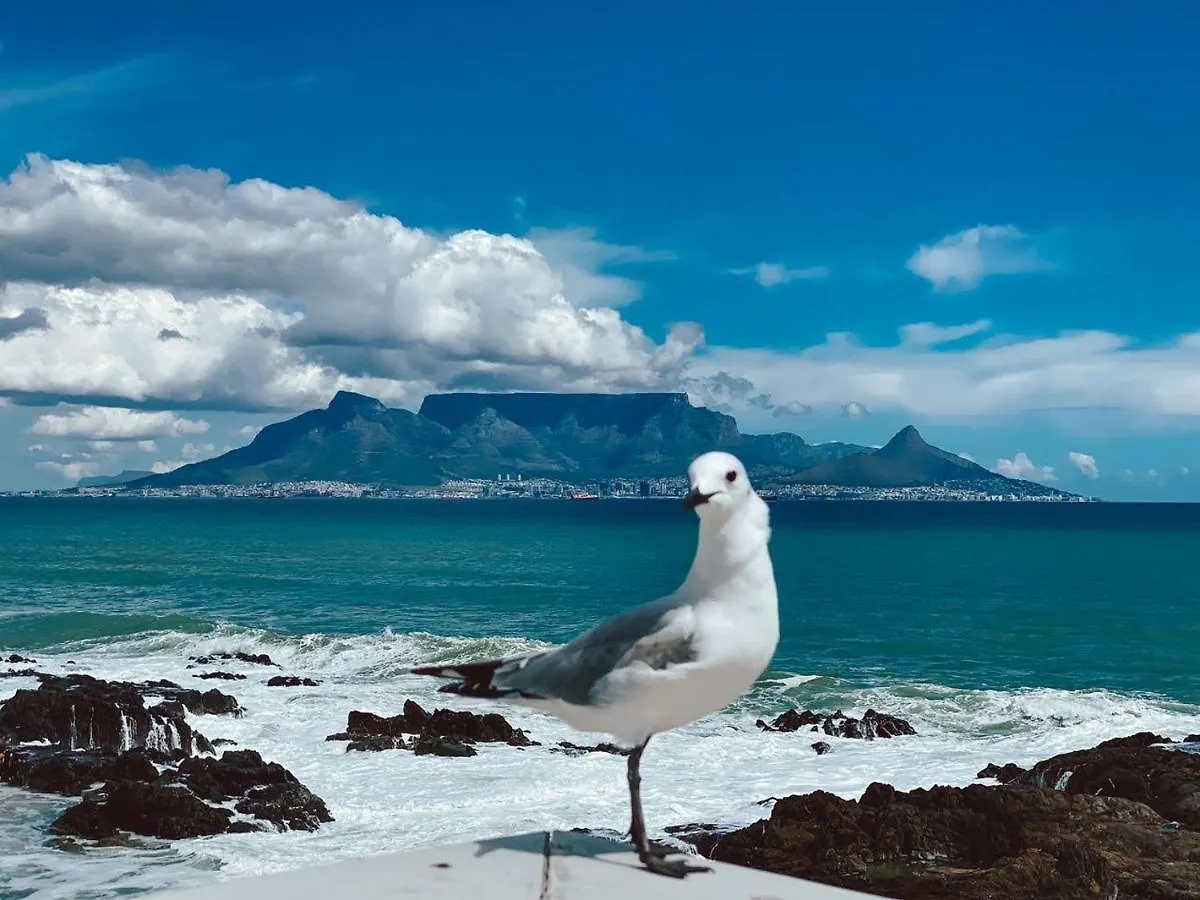 Belle Maroc Boutique Hotel Bloubergstrand